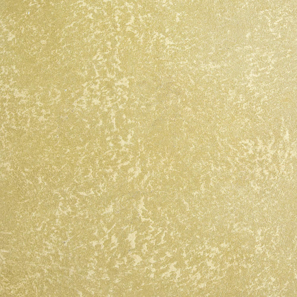 223.1000x1000