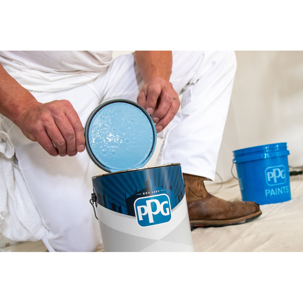 pro-paint-product-page-image
