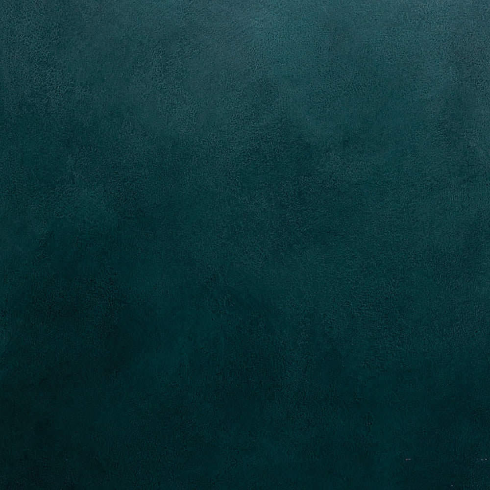 269.1000x1000