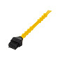 Titebond Titebrush