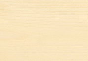 Грунтовка Saicos Ecoline Ol-Grundierung (3408-3490) для дерева (3410 Бесцветный,0,125 л.)