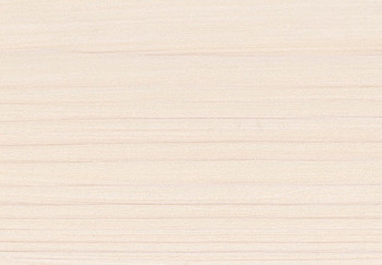 Saicos Ecoline Ol-Grundierung (3409 Белый, 0,75 л.)