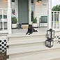 TimberCare Porch&Floor