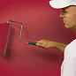 Wooster Painter's Choice