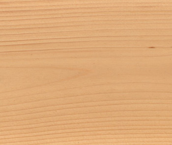 Saicos Holzlasur (0001 Бесцветный, 0,75 л.)