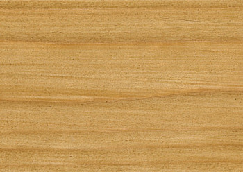 Saicos Ecoline Ol-Grundierung (3458 Дуб, 0,125 л.)