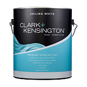 Ace Clark Kensington Paint Primer in one Premium Interior Ceiling Flat