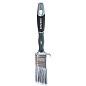 Anza Platinum 1496
