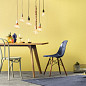 Zinsser Modern Canvas EggShell