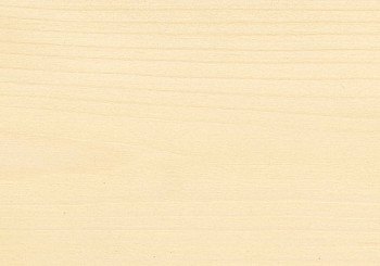 Saicos Ecoline Ol-Grundierung (3410 Бесцветный, 2,5 л.)