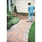 Drylok Concrete Protector Latex Base