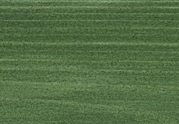 Saicos Holzlasur (0060 Зеленая ель, 0,75 л.)