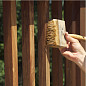 Морилка Wolman E-H-T Exotic Hardwood Treatment для дерева