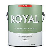 Ace Royal Exterior House Paint Flat Acrylic Latex